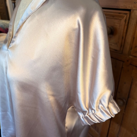 Caryn Lawn Betsy Top Spring Champagne Satin Vneck Boxy Blouse One Size NEW - Picture 4 of 8